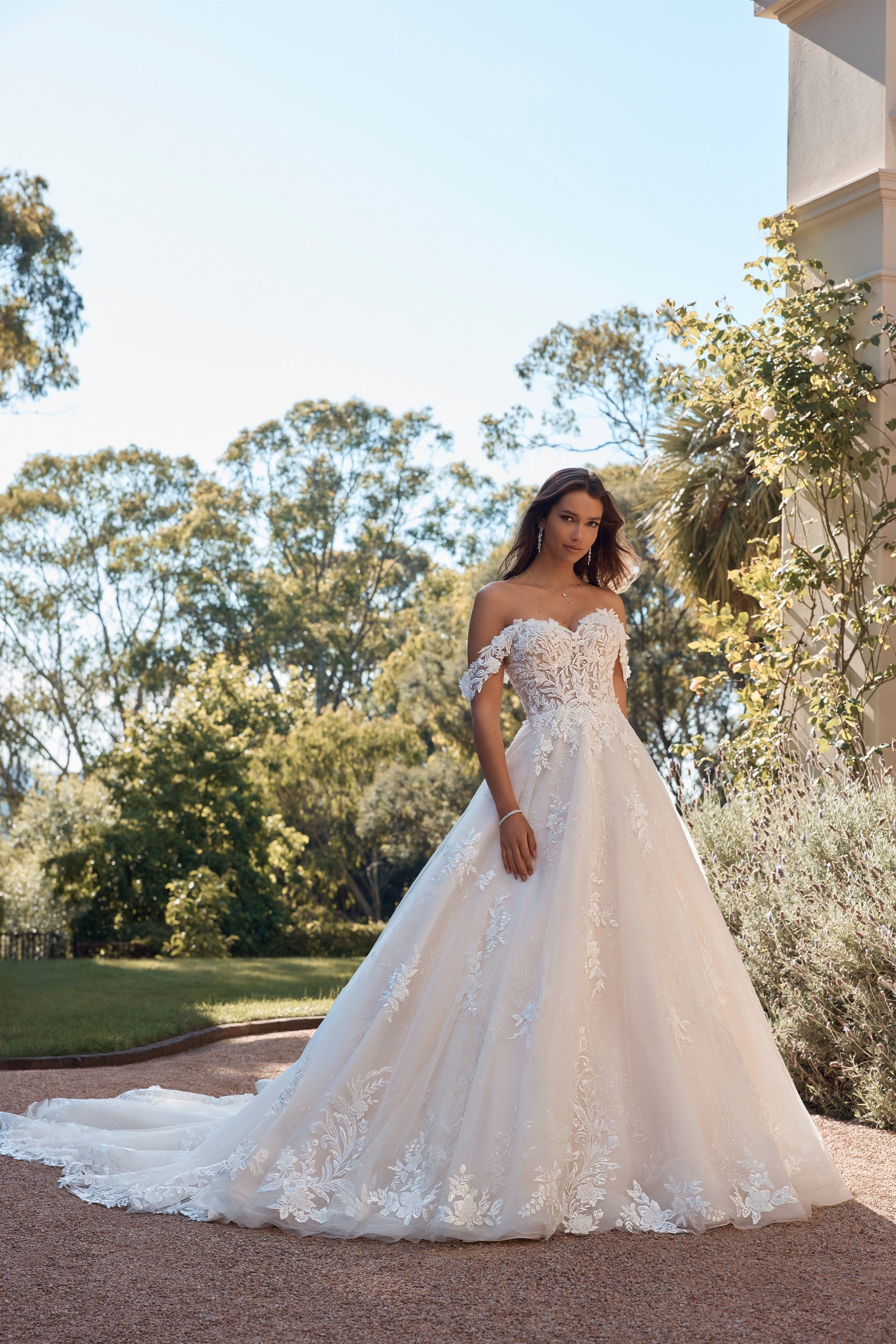 Sophia Tolli: ST625 - Marseille