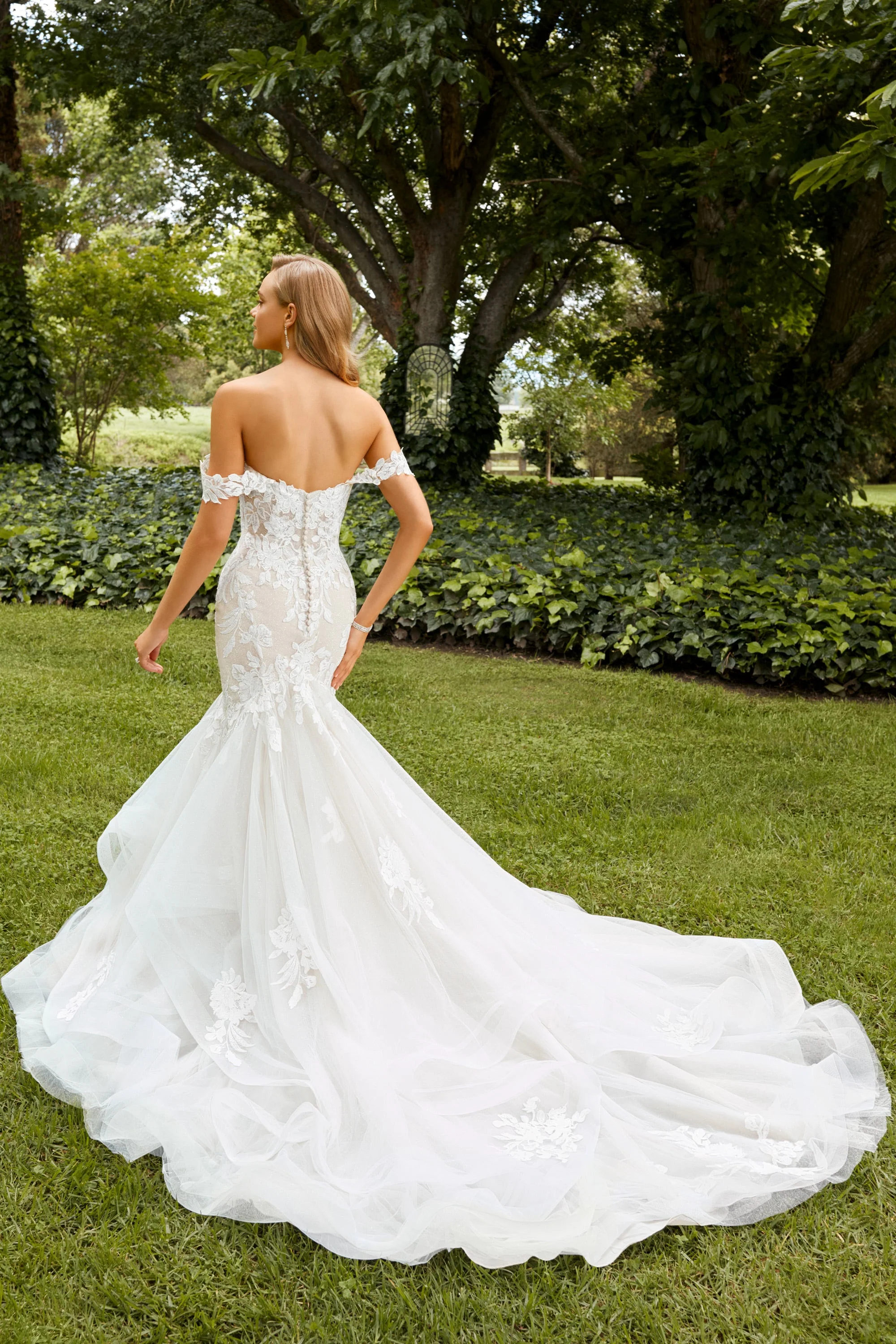 Sophia Tolli: Y22262 - Indiana - Image 2